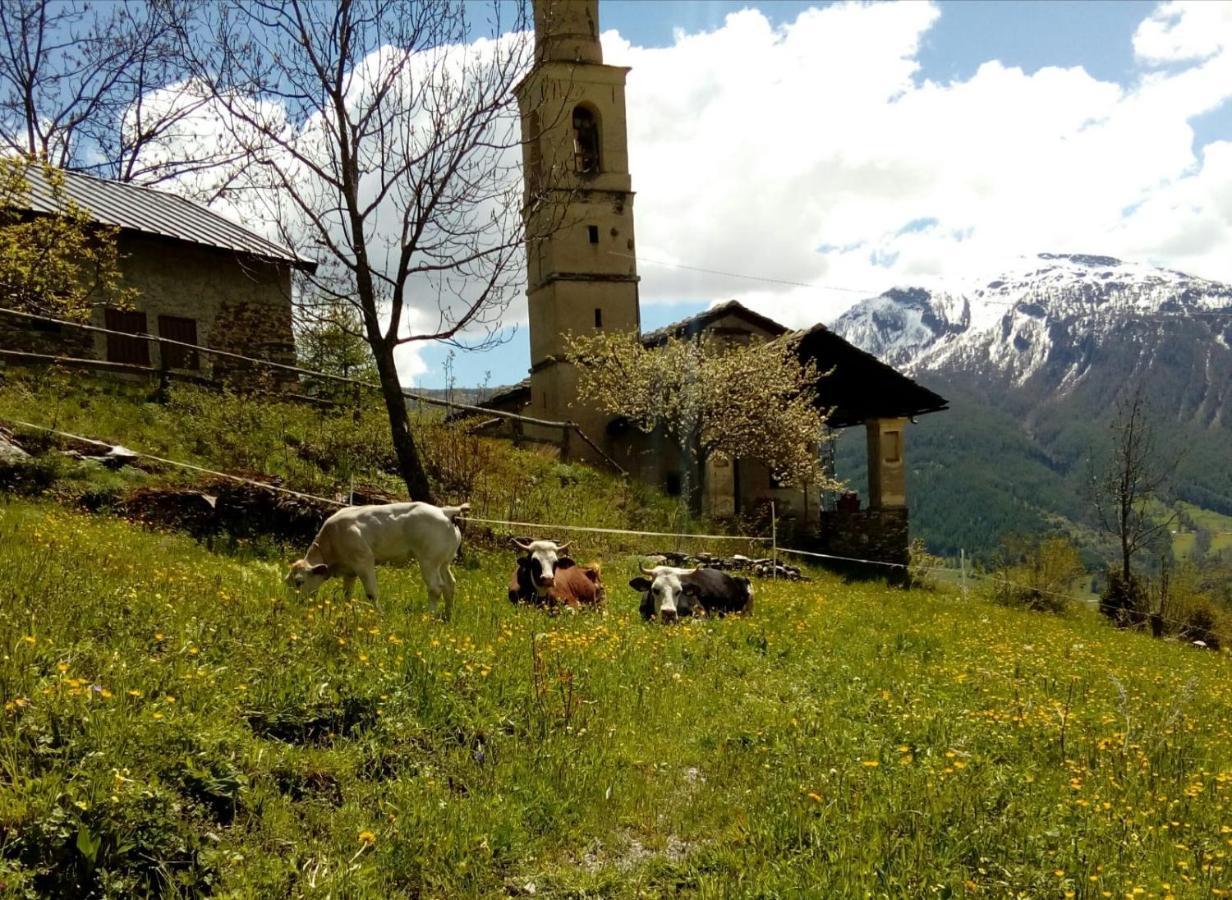 Agri-B&B Lou Col Canosio Esterno foto