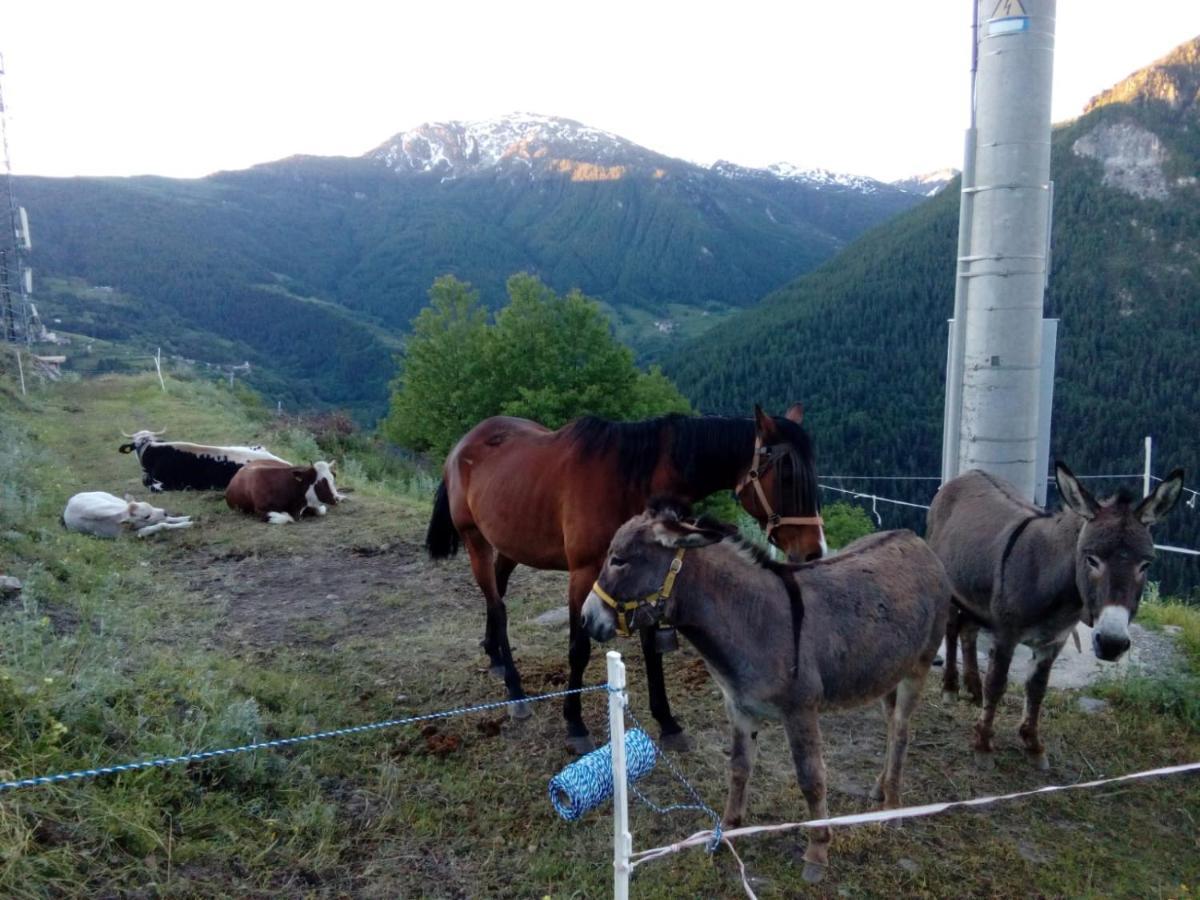 Agri-B&B Lou Col Canosio Esterno foto