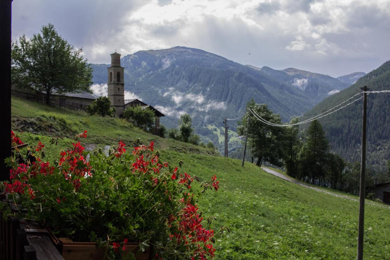 Agri-B&B Lou Col Canosio Esterno foto