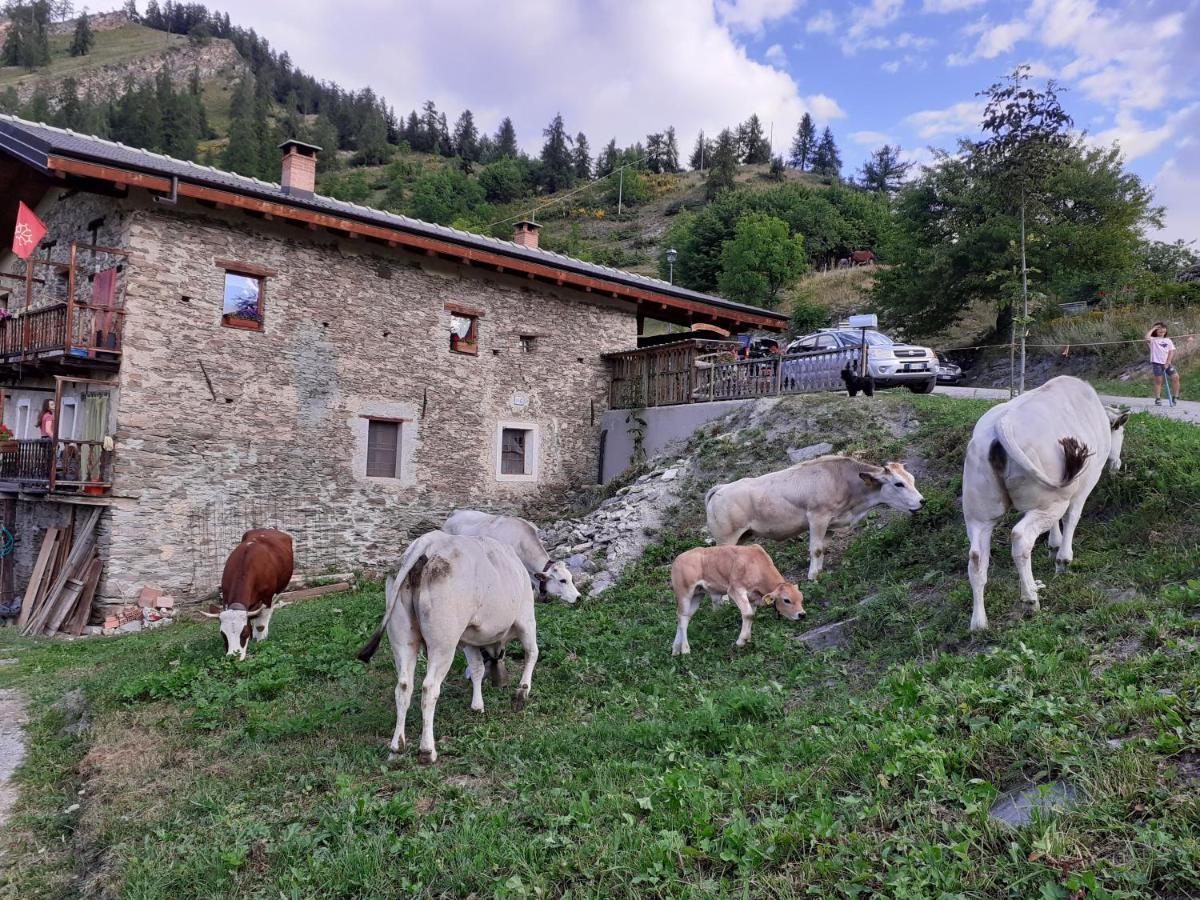Agri-B&B Lou Col Canosio Esterno foto