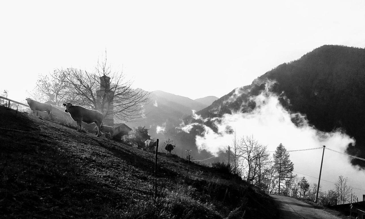 Agri-B&B Lou Col Canosio Esterno foto