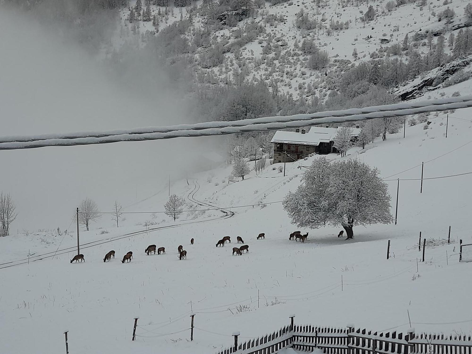 Agri-B&B Lou Col Canosio Esterno foto